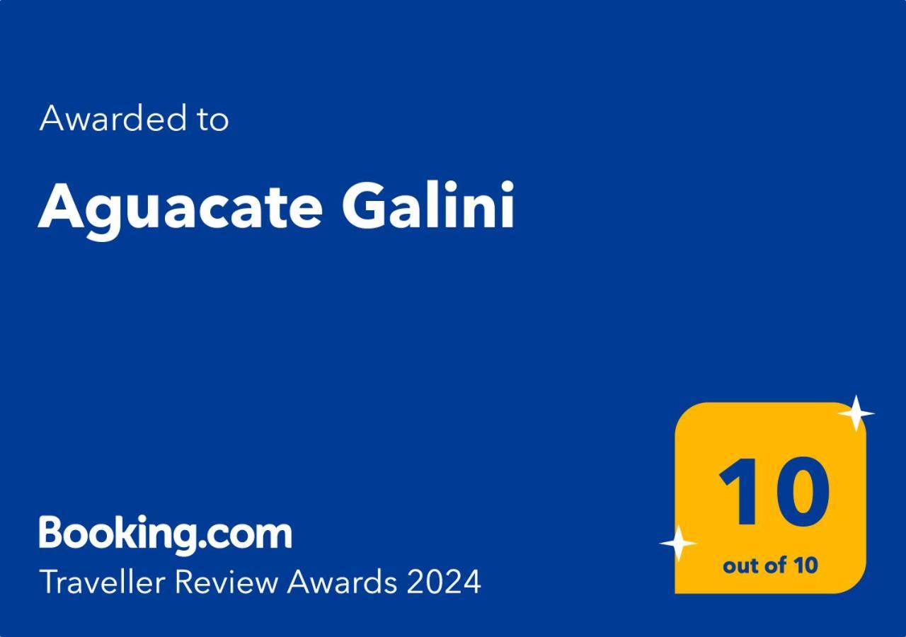 티실리비 Aguacate Galini With Private Swimming Pool 빌라 외부 사진